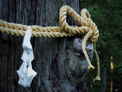 「片づけの神様」は、いますか？【『片づけ心理学』コラム029】